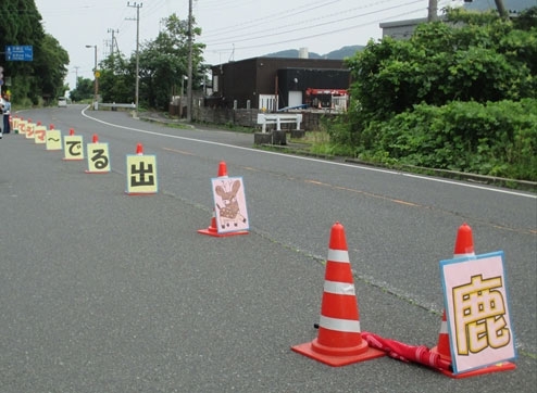 国道178号線で鹿の飛び出しに注意！