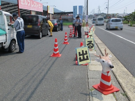 国道178号線で鹿注意！
