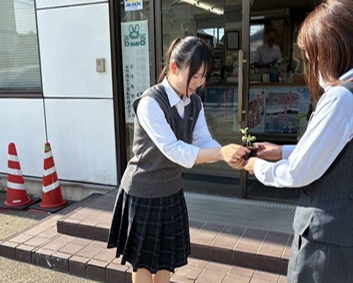 ひまわりの絆プロジェクト！事業所などへひまわりの苗を配布